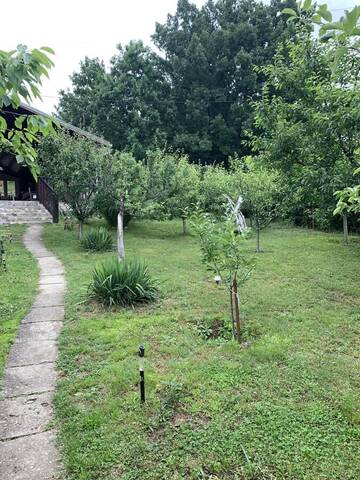 Фото номера Дом с 3 спальнями Дома для отпуска Casa Andrei г. Ешелница 7